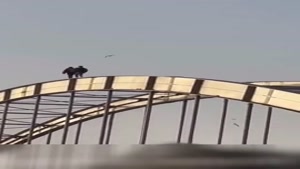فیلم از دو جوان روی پل اهواز
