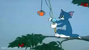 کارتون تام و جری _ انیمیشن تام و جری _ موش و گربه