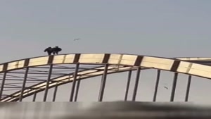 فیلم راه رافتن رعب انگیز دو جوان روی پل اهواز