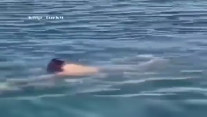 نجات انسان توسط سگ در دریا