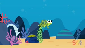 Underwater animals 