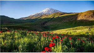 دشت لاردر قله دماوند Damavand peak