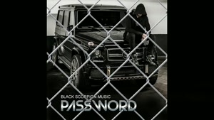 Black Scorpion Music - Password