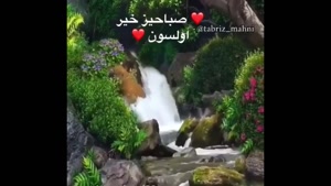 کلیپ سلام صبح بخیر/دانلود کلیپ صبح بخیر/کلیپ صبح بخیر زیبا/کلیپ صبح بخیر شاد برای وضعیت واتساپ