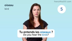 یادگیری زبان فرانسه 220 کلمه فرانسوی برای زندگی روزمره