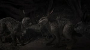 انیمیشن جذاب دیدنی تپه خرگوش ها به همراه دوبله فارسی قسمت 7