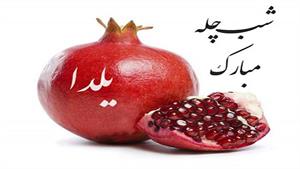 استوری شب یلدا / کلیپ تبریک شب یلدا