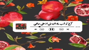 کلیپ شاد یلدایی جدید