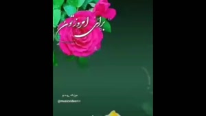 کلیپ سلام صبح بخیر برای استوری / کلیپ صبحتون بخیر شاد 