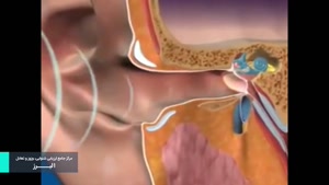 معرفی سیستم شنوایی گوش انسان و نحوه ی عملکرد آن