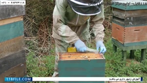 آموزش زنبورداری رایگان- زنبورداری مدرن-پرورش زنبور عسل-اولین