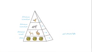 آموزش زیست نهم - فصل 15 علوم نهم 