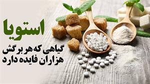 گیاه استویا چیست - فوایدگیاه استویا