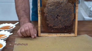 تشخیص عسل طبیعی با موم از عسل تقلبی با موم
