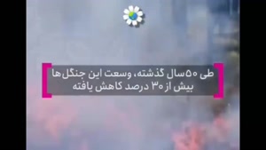 کلیپ روز درختکاری با اهنگ - 15 خرداد 