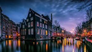 بازدید از شهر هنری آمستردام
