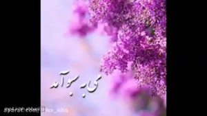 عیدتان مبارک