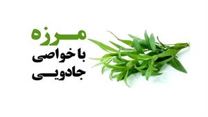 خواص بی نظیره مرزه 