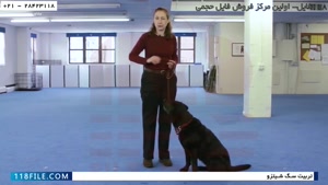آموزش تربیت سگ پامرانین -آموزش سگ برای درازکشیدن