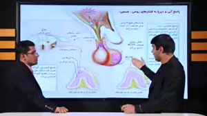 نمونه تدریس زیست استرس