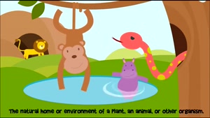 animal habitat 