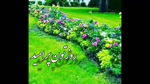 کلیپ صبح بخیر برای گروه دوستانه / جدید 