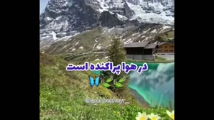 کلیپ صبح بخیر پر انرژی - صبحتون بخیر و شادی