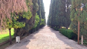 باغ ارم شهر شیراز