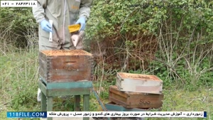 آموزش پرورش زنبور عسل  - آموزش رایگان زنبورداری -  برپایی کل