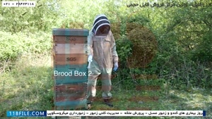 آموزش پرورش زنبور عسل  - آموزش زنبورداری نوین -  روش میلر (ب