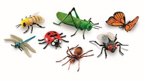 نبرد حیوانات - 10 تا از احمقانه ترین مبارزه ها با حشرات