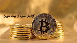 ارز دیجیتال - گزارش سود از بیت کوین  