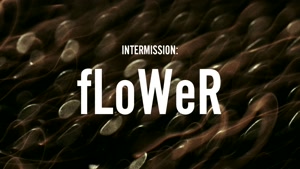 آهنگ گل - زین - ZAYN - INTERMISSION: fLoWer 