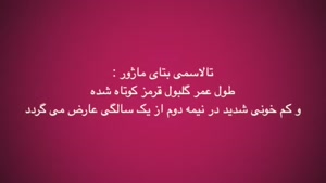 تالاسمی