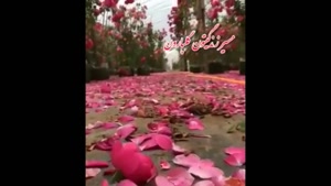 کلیپ سلام صبح بخیر/کلیپ صبح بخیر کوتاه/دانلود کلیپ صبح بخیر/کلیپ صبح بخیر حال دلتون عالی/صبح بخیر