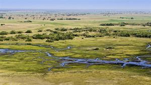 مستند حیات وحش - فصل خشک در زامبیا