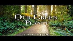 سیاره سبز ما - مناظر زیبای طبیعت با موسیقی آرامش بخش