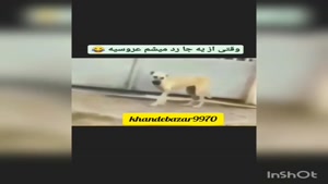 کلیپ خنده دار / وقتی از یه جا رد میشم عروسیه