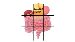 شناسایی دردهای مختلف شکم با استفاده از نقشه شکم انسان