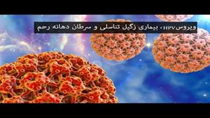 ویروس HPV، بیماری زگیل تناسلی و سرطان دهانه رحم چیست؟