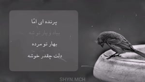 آهنگ پرنده ی غمگین محسن چاوشی