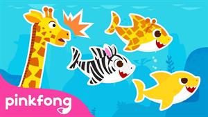 pinkfong baby shark - بیبی شارک - تحولات حیوانات