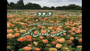 کلیپ صبح بخیر برای وضعیت/سلام صبح بخیر زیبا/صبح بخیر لاکچری