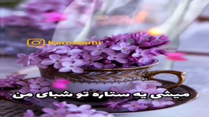 کلیپ عاشقانه جدید 1400/کلیپ عاشقانه زیبا برای همسرم