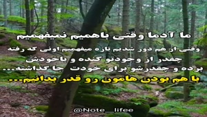 کلیپ نوشته دار زیبا و جدید/کلیپ برای استوری/ قدر همو بدونیم