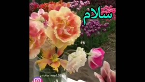 کلیپ صبح بخیر شاد/کلیپ سلام صبح بخیر زیبا/دانلود کلیپ صبح بخیر/کلیپ صبح بخیر برای وضعیت/صبح بخیر