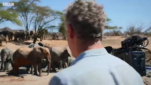 Baby Elephants Adorable First Bath | BBC Earth