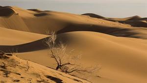 کویر مرنجاب MARANJAB DESERT (2022) IRAN