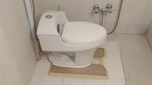 تعمیر لوازم خانگی - تعمیر سیفون توالت فرنگی 
