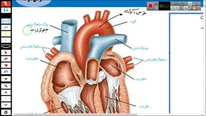 فیلم تدریس قلب و دریچه ها-زیست دهم-گفتار 1 فصل 4 قسمت 1